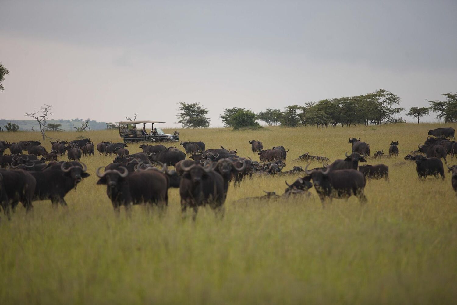 PlaceholderImage1302